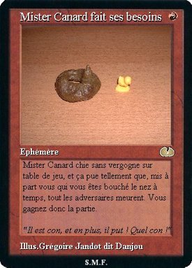j'adore mister canard