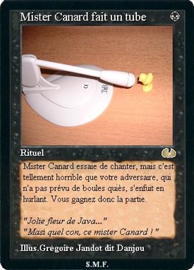 j'aime bien les mister canard