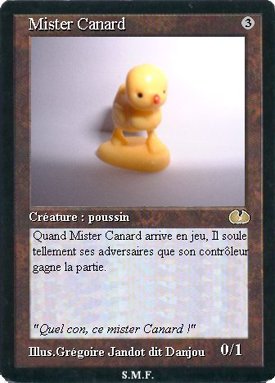 j'adore mister canard